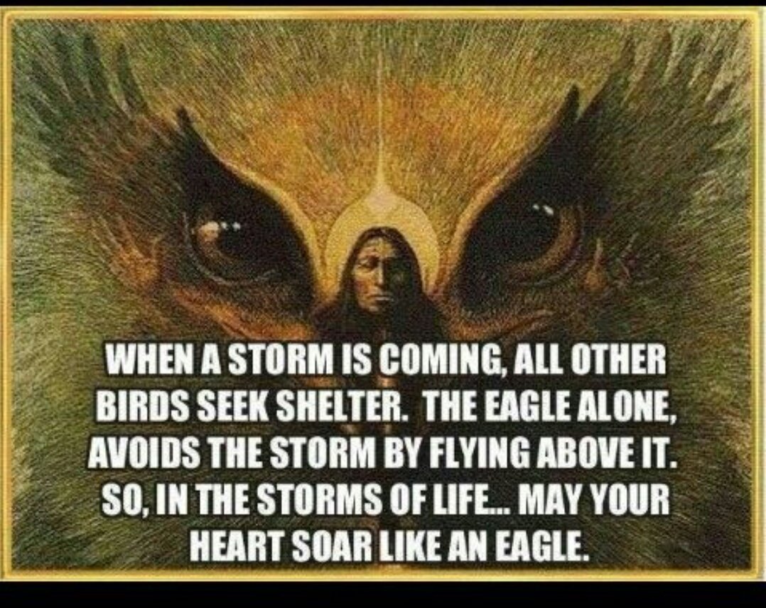 NANxox2_WOKE's tweet photo. #indigenous #NativeNationsrise keep fighting that Good fight Fam https://t.co/rv6nzKWfJl
