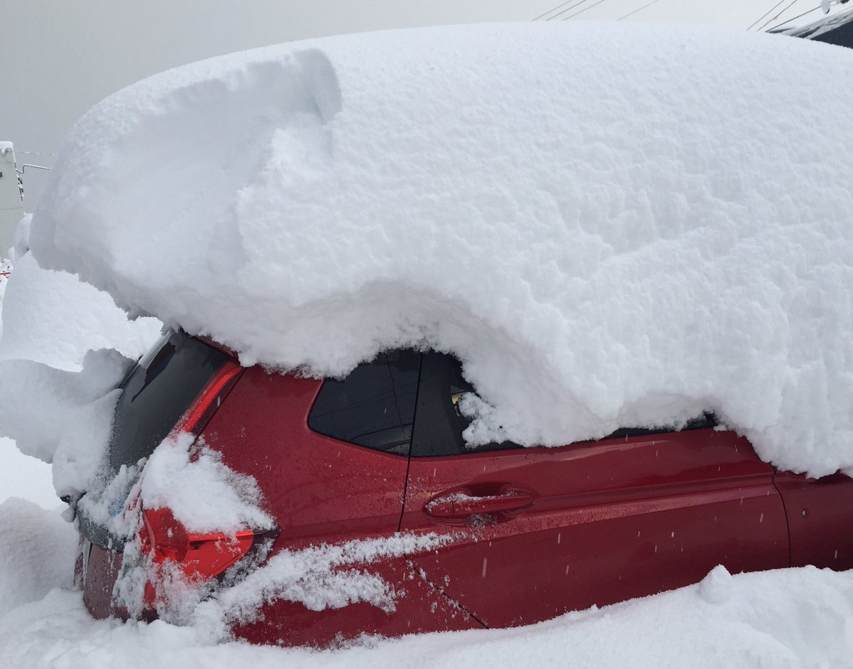 まんじろ 下條先生から雪の重みで車が潰れる話を聞いて早速 雪降ろししてきた だがしかし 私は雪 ん子レベル1なので初期装備はクイックルワイパー 頑張りました まんじろ 下條先生から雪の重みで車が潰れる話を聞いて早速 雪降ろししてきた だがしかし 私は雪 ん子レベル1なので初期装備はクイックルワイパー 頑張りました