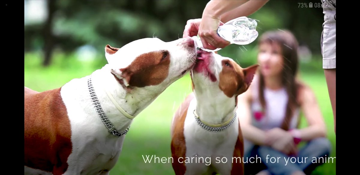 em_il_y's tweet photo. @UKHomeopathyReg Also features dogs with cropped ears 😣 https://t.co/A9Vpyfu0SJ