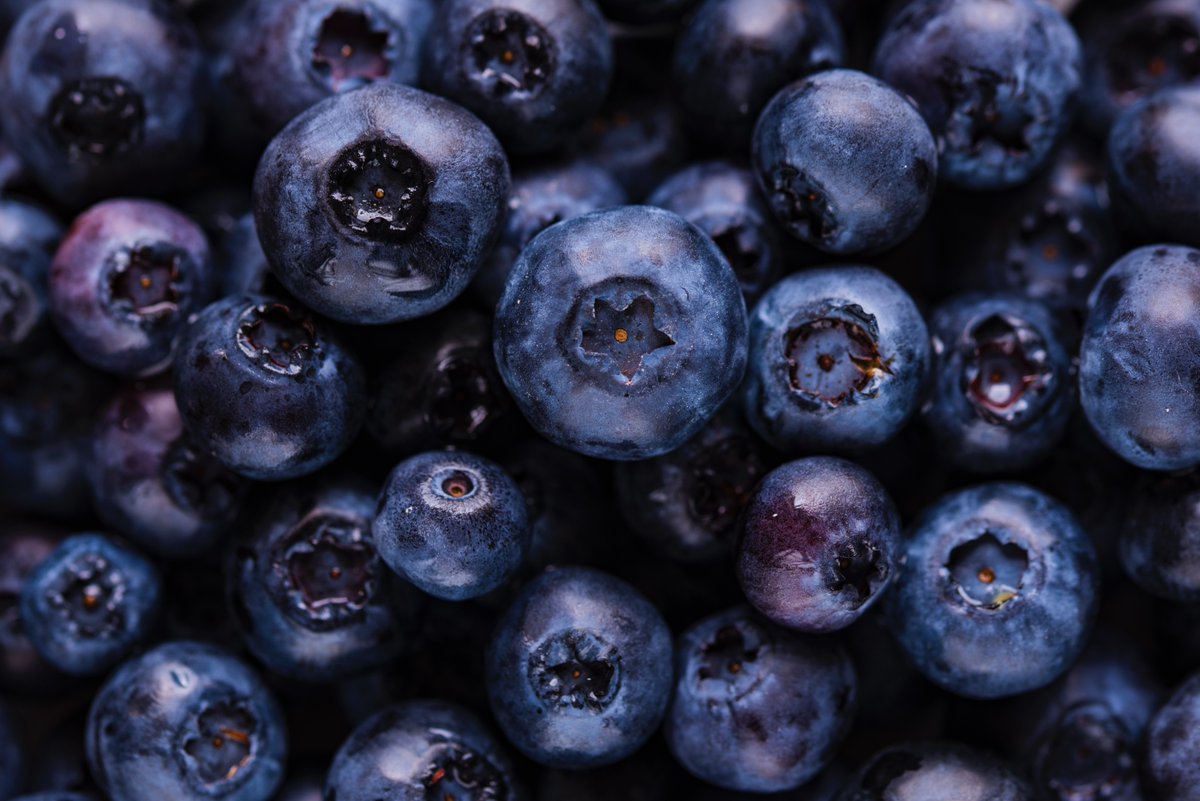 ChefAliNL's tweet image. Feitje! De blauwe bes is een bes die niet alleen lekker is, maar het besje staat ook nog eens bol van de vitamines! Blauwe bessen bevatten namelijk zeer veel vitamine C, vitamine A én vitamine B. Hoe eet jij je blauwe bessen het liefst?