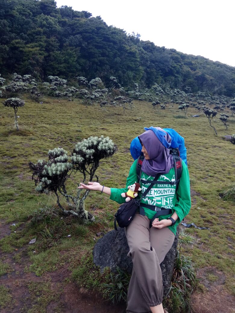 DeviAnggraeni44's tweet photo. Bunganya belum numbuh aja udah indah, gimana kalo bunganya udah mekar π»
Cukup di lihat tak boleh di petik β€ #mtgede #Edelweiss https://t.co/492nni76IZ