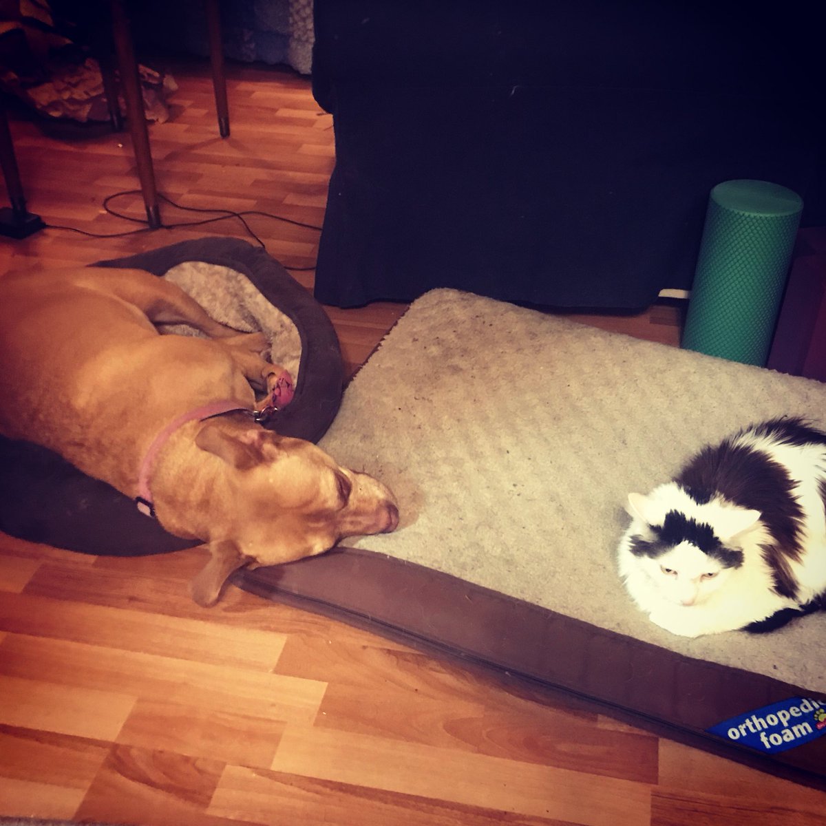 70%? I rarely get 50% of what my male coworkers do. Look at Mark f'n Wahlberg over here…