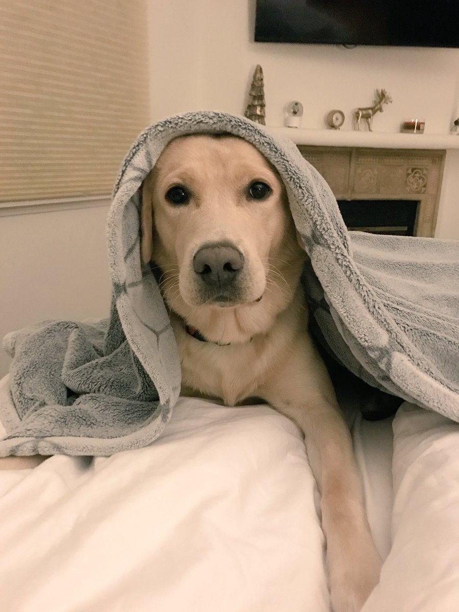 shanedawson's tweet photo. SAMMMMMME https://t.co/NEKggMVGVW