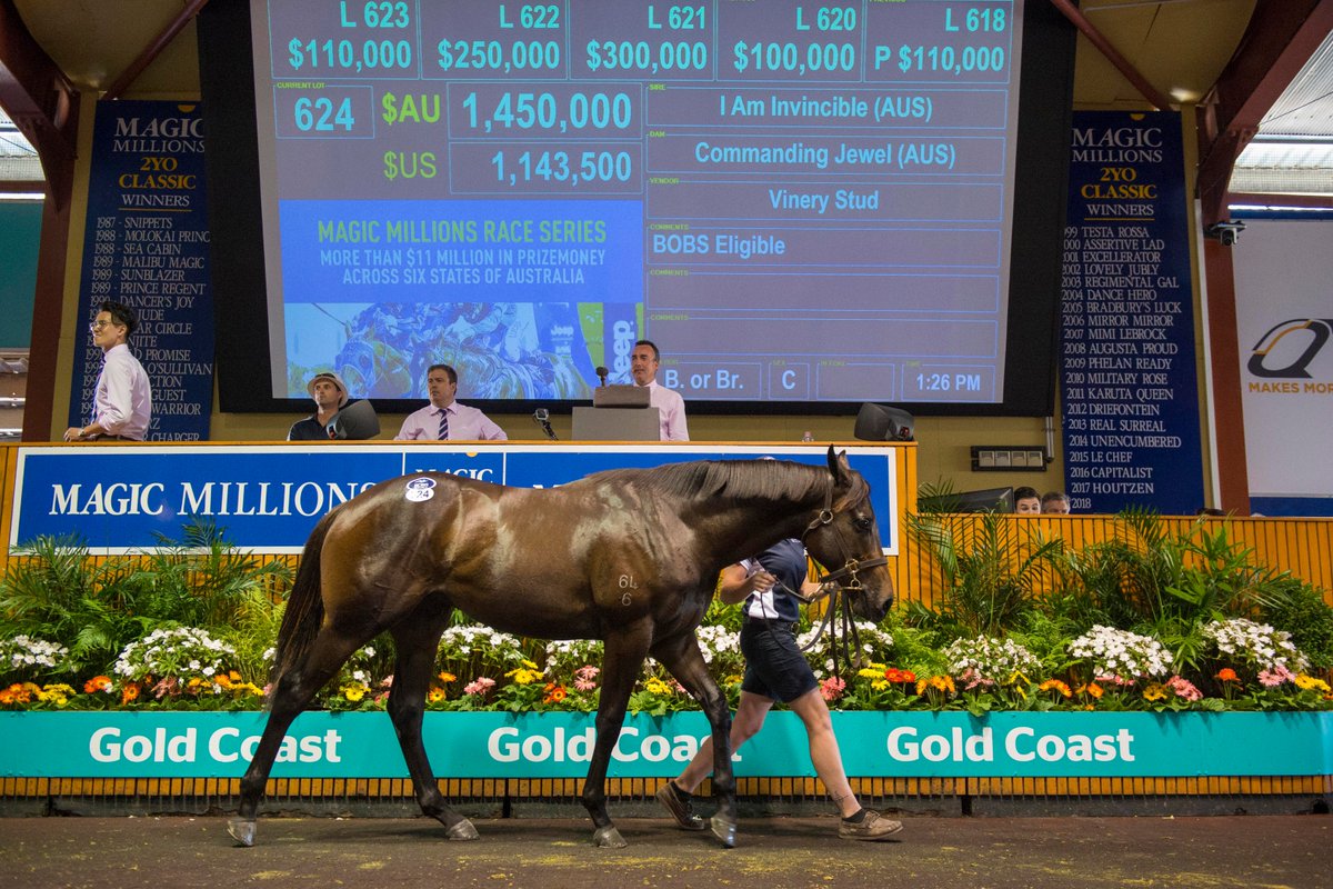 mmsnippets's tweet photo. Another million dollar baby!
The first foal of G1 winner #CommandingJewel by #IAmInvincible sells for $1,450,000 at the #GoldCoastYearlingSale.
Presented by @VineryStud, as agent for breeder Greg Perry, the colt was purchased by Damion Flower's @jadeskye_racing & @BWiddupRacing! https://t.co/EK7PImgwUB