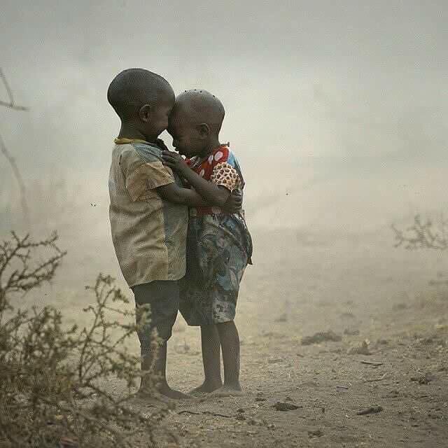 Mzilikazi wa Afrika tweet media