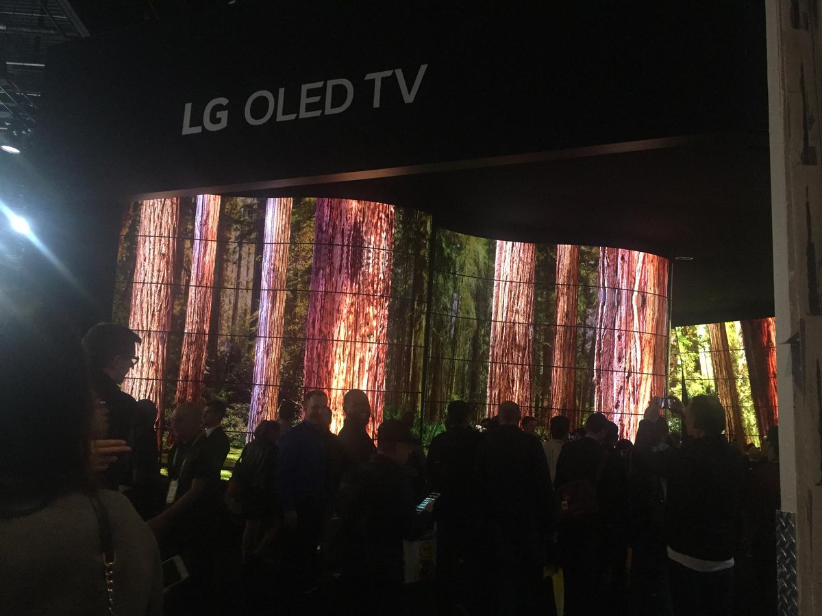 Check out <a href="/LGUS/">LG Electronics</a> OLED Canyon from #CES2018 bit.ly/2D4oDbk