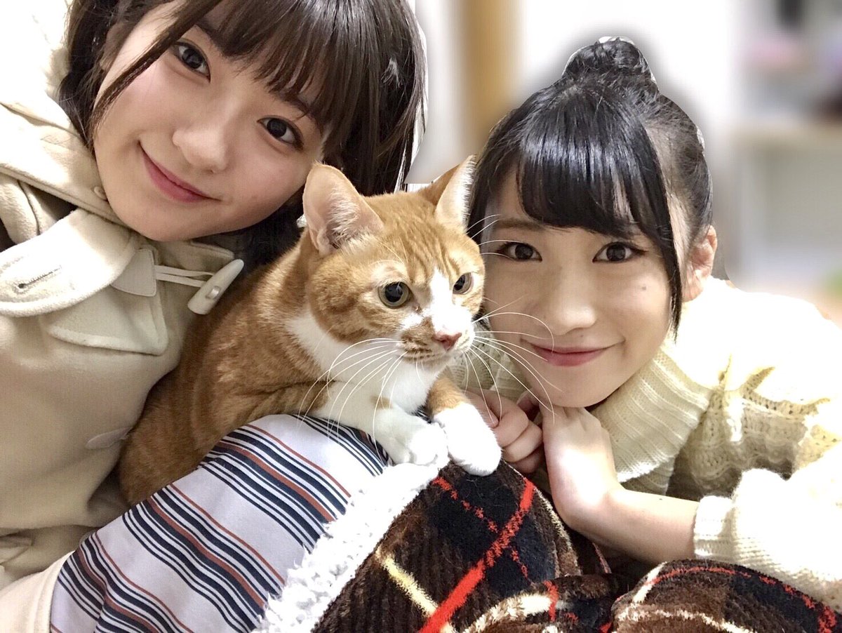 加藤 一華 ボンボンtv いっちー 最近もまた 猫のピッピがいちなるんとこに遊びに来てくれて お正月期間は一緒に動画撮りました にしても ピッピ人気がすごい ので 改めて動画でピッピのこと皆に紹介できたらいいなぁ ピッピ可愛いのぉ 加藤 一華 ボンボンtv いっちー 最近もまた 猫のピッピがいちなるんとこに遊びに来てくれて お正月期間は一緒に動画撮りました にしても ピッピ人気がすごい ので 改めて動画でピッピのこと皆に紹介できたらいいなぁ ピッピ可愛いのぉ