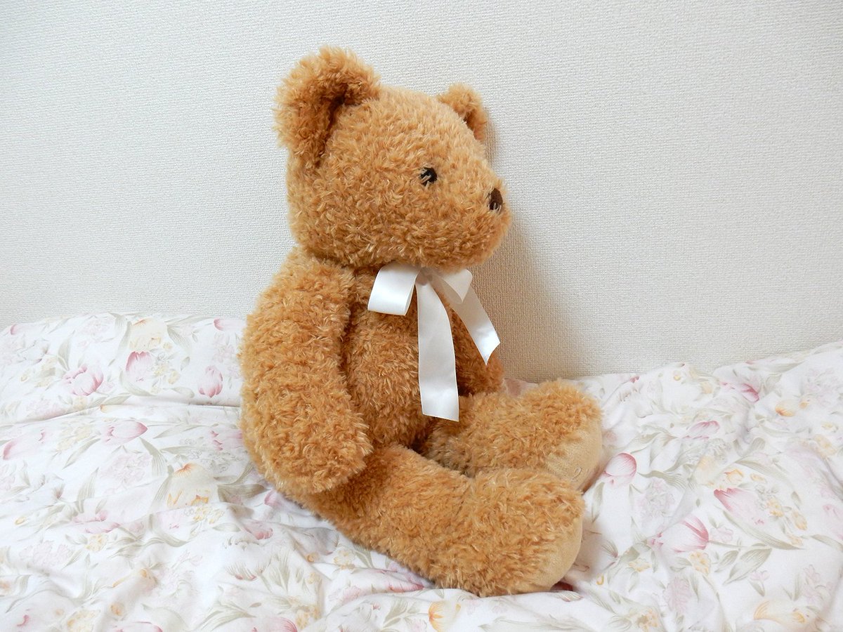 ぬいぐるみ Jam V Twitter くまのラスくん 男の子 W ノ トイザラスのぬいぐるみコーナーで見かけて 可愛くて購入 トイザラスなので ラスくん 安易です くまのぬいぐるみは 首にリボンが付いてるのが多くて それが可愛いですね W ふかふかな肌触り ぬいぐるみ Jam V Twitter くまのラスくん 男の子 W ノ トイザラスのぬいぐるみコーナーで見かけて 可愛くて購入 トイザラスなので ラスくん 安易です くまのぬいぐるみは 首にリボンが付いてるのが多くて それが可愛いですね W ふかふかな肌触り