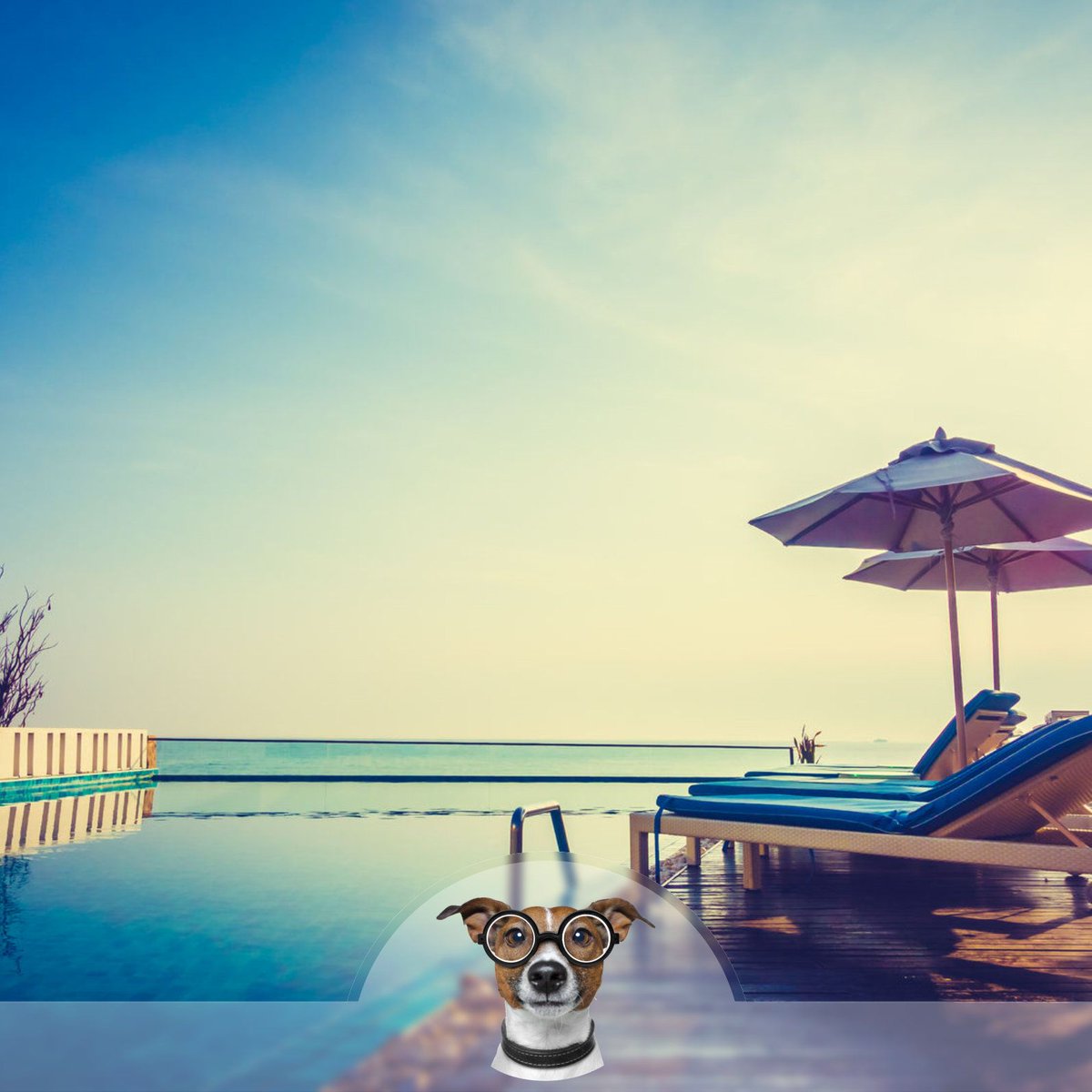 perfectagentau's tweet photo. It's Friday #friyay we hope that you have a relaxing weekend #friyay #weekend #view #swimmingpool #perfectagent https://t.co/UKZtrSWoXY