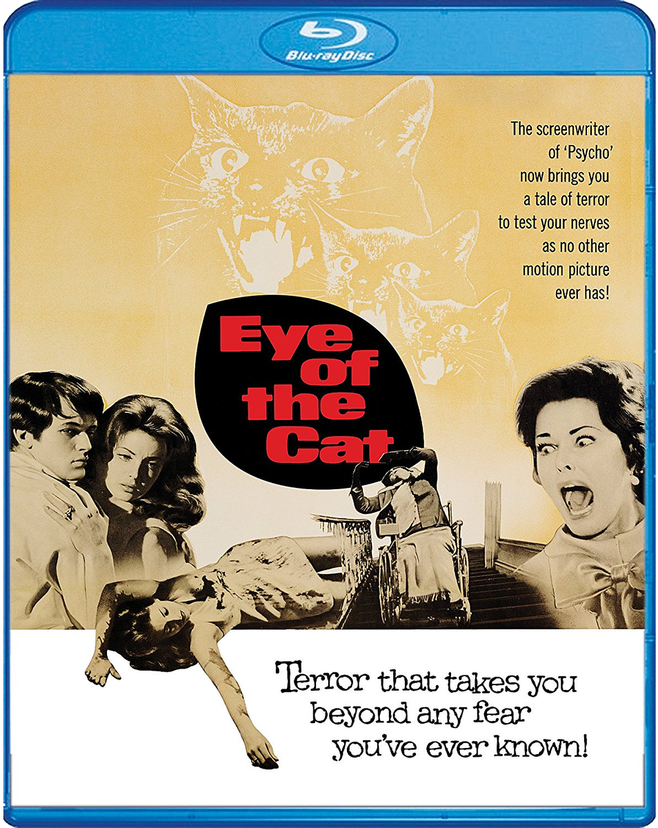 BMovieFilmVault's tweet photo. Next Tuesday, @Scream_Factory will give you #ailurophobia with their new Blu-ray release of EYE OF THE CAT. Full details can be found here: https://t.co/jmytr87OP1

#forgottenhorror #Bluray #EyeoftheCat #wheelchairscanbemurder #killercats https://t.co/dZIrdIKmcg