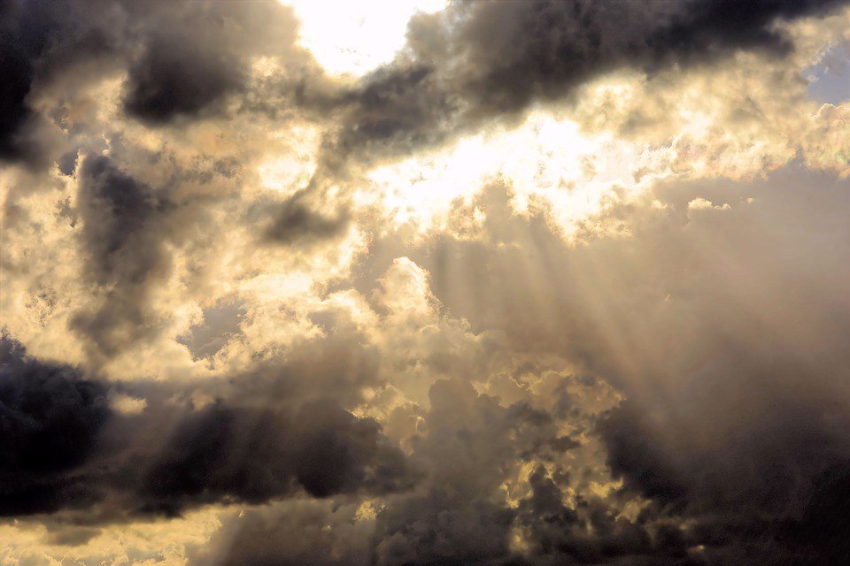 musingsofnature's tweet photo. Still Feel The Rain | Rain Poem https://t.co/o67fa0O7JL https://t.co/QRiojVB1MW