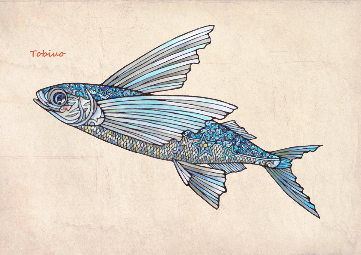 Namikoさんのツイート イラスト図鑑 トビウオ File93 イラスト 魚 トビウオ Namikoさんのツイート イラスト図鑑 トビウオ File93 イラスト 魚 トビウオ