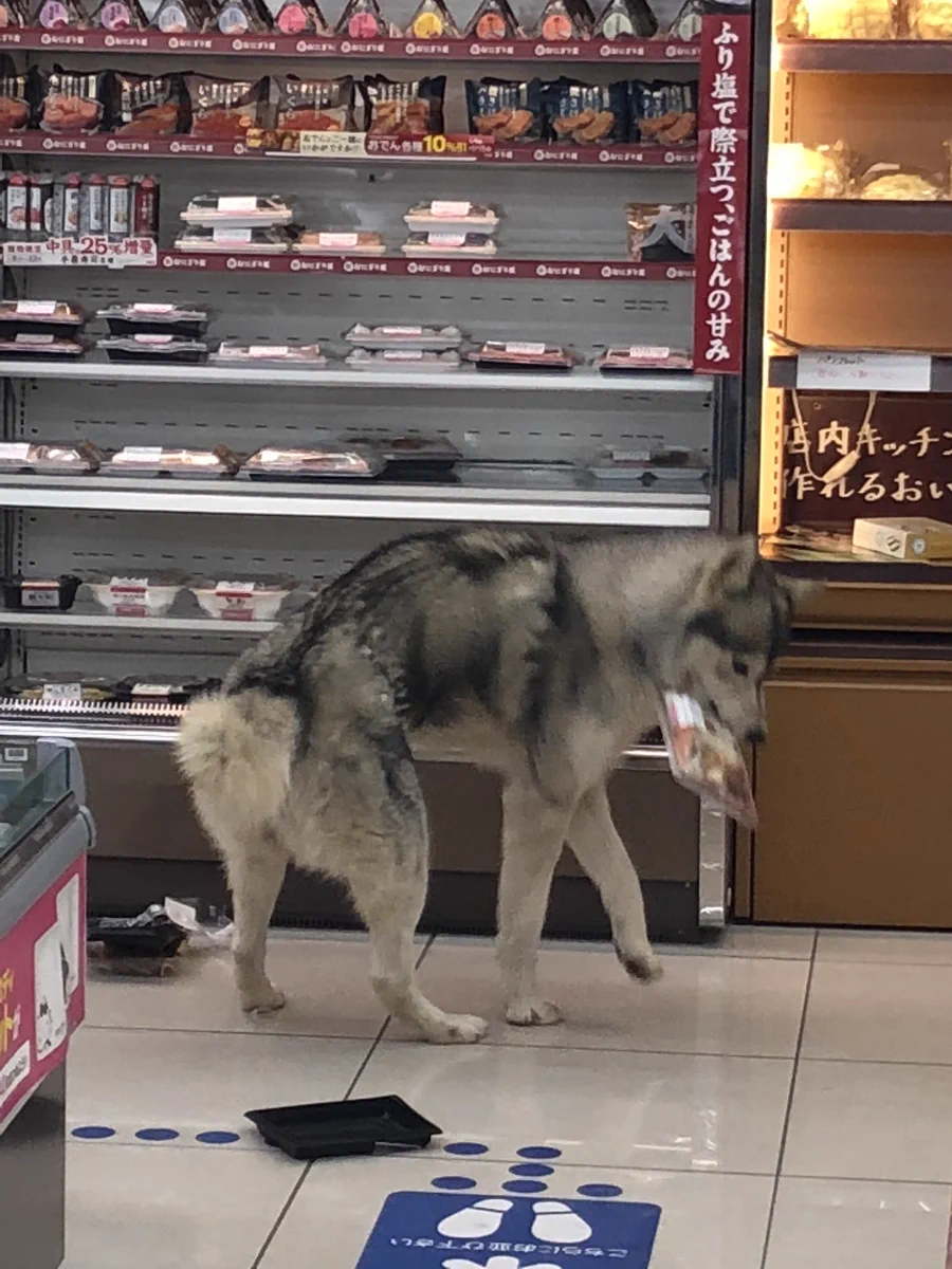 これはびっくり！コンビニに行ったらすごい場面に出くわした件