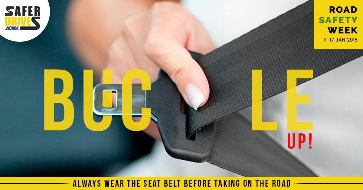 embrace life seatbelt