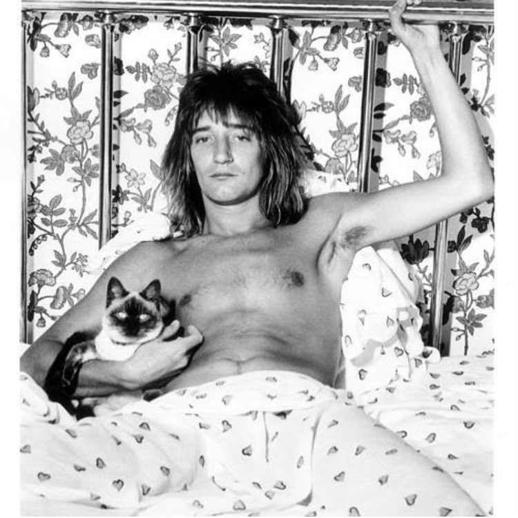 Happy birthday, Rod Stewart.
Cat man. Icon. My namesake. 