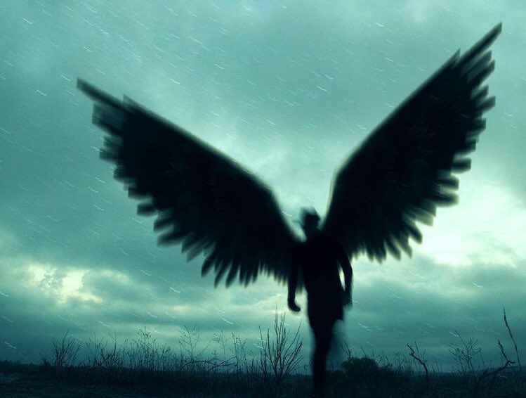 return_flight's tweet image. #BelieveAndWait #TVSeries #Australia vimeo.com/cdalessi82/ret…