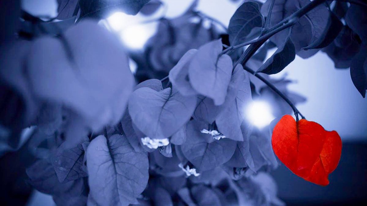 leellrc's tweet image. No matter what kind of person you are, I implore you: Try, try to make the world a better place. Look inside yourself and recognize that change starts with you