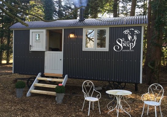 blacksheepshepherdhuts (@blacksheephuts) on Twitter photo #Norfolk #shepherds #huts: a place to experience a romantic vacation.
Read more : bit.ly/2CTzIvS <a href="/blacksheephuts/">blacksheepshepherdhuts</a> #Norfolk #shepherds #huts: a place to experience a romantic vacation.
Read more : bit.ly/2CTzIvS <a href="/blacksheephuts/">blacksheepshepherdhuts</a>
