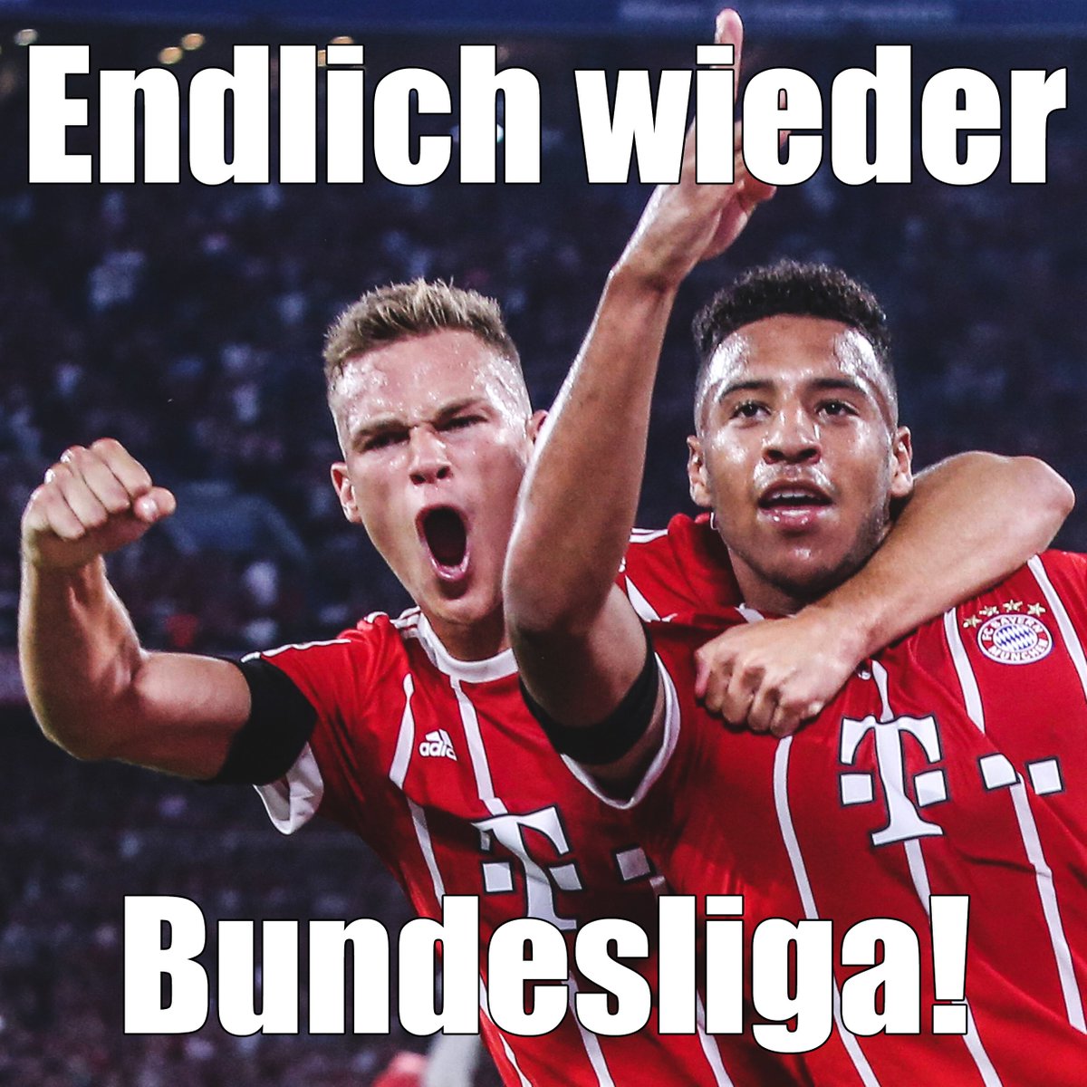 👊🖖 #B04FCB @Bundesliga_DE, image size:1200x1200