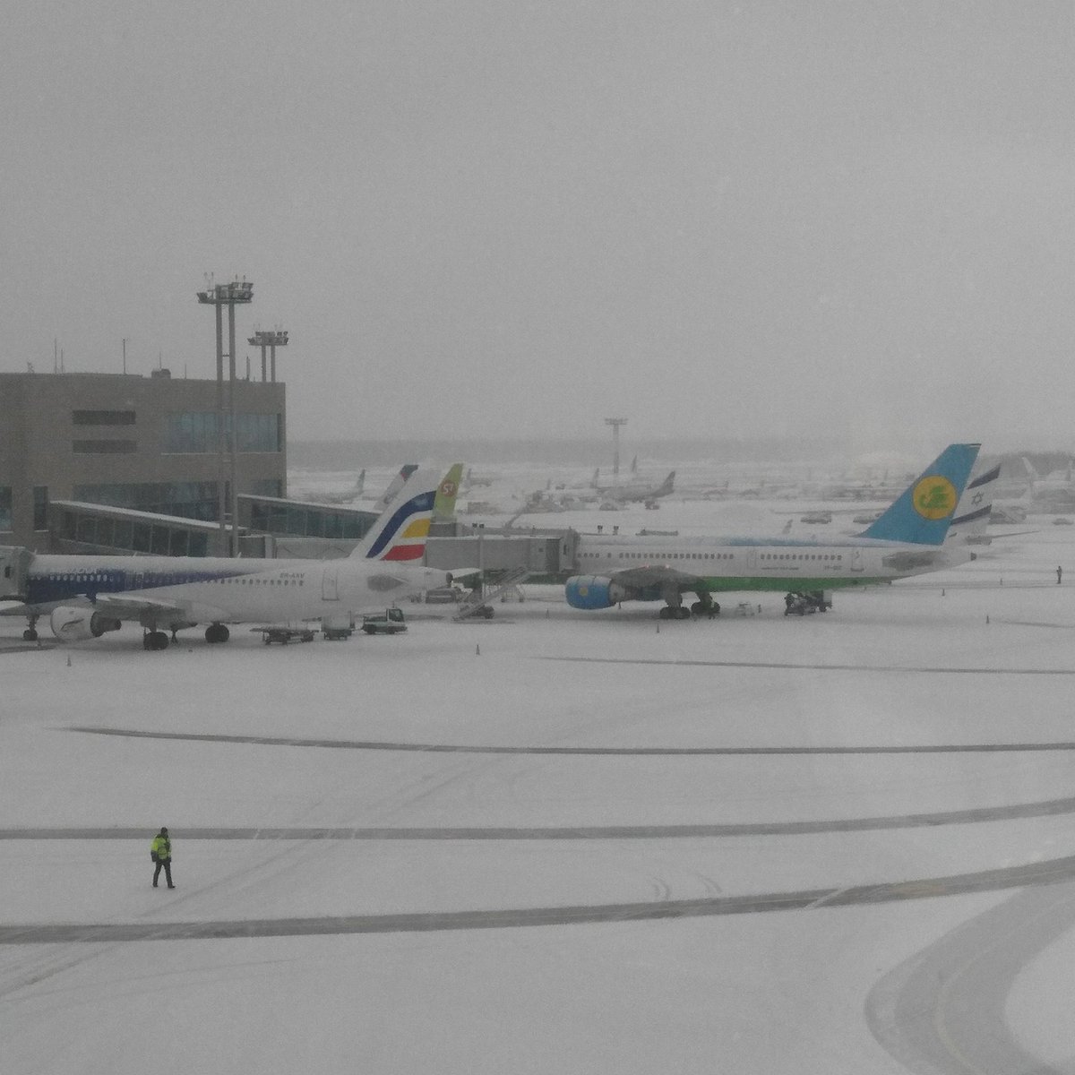 From_Spb_'s tweet image. Замело....
#домодедовоаэропорт