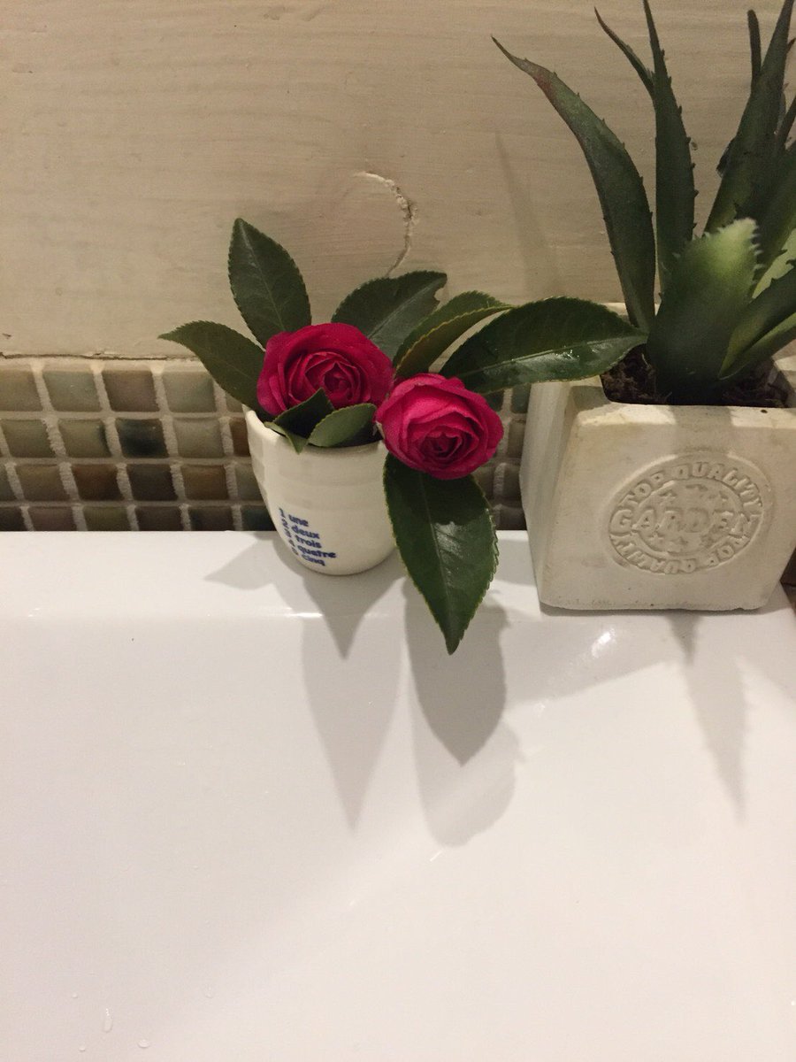 公式 Bobburg 八尾青山通り店 トイレに咲く花 スタッフが 気まぐれに トイレに 花を飾ってくれています 手を洗う時 ふっと見て 明るい気持ちに なりますね 花より団子のあなたは Bobburgへ Go 肉汁どしゃー