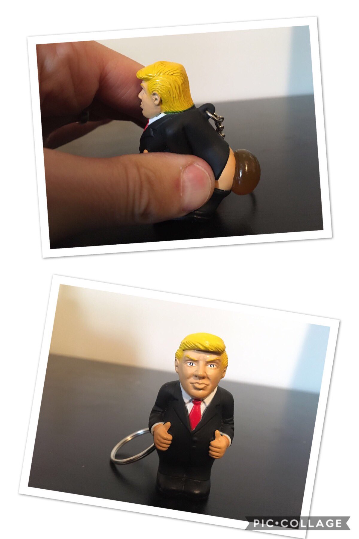 Donald Trump Pooping Key Chain aka The POOTUS 