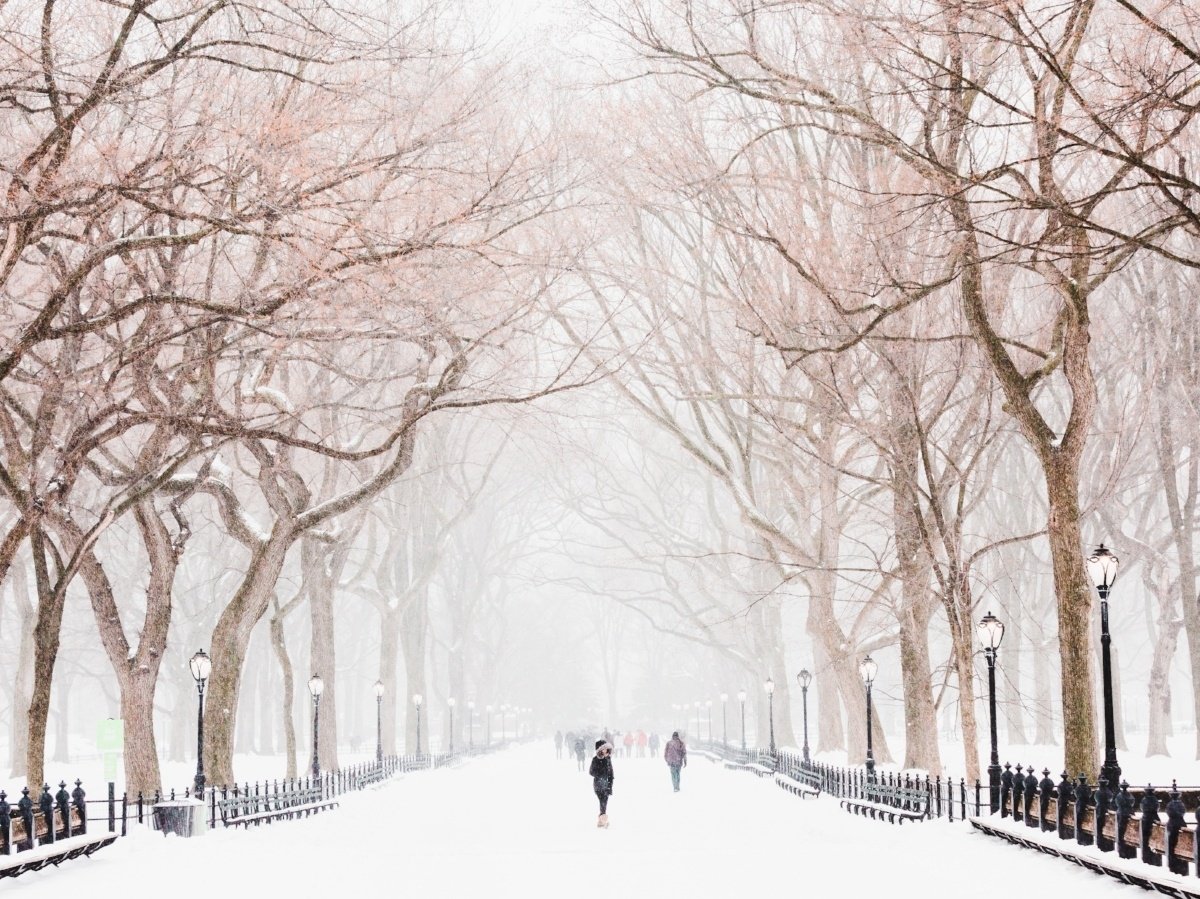 unityhealthplan's tweet photo. Plan your next winter getaway to ensure you stay safe, warm and have fun! 
https://t.co/iNeyhvmjeu https://t.co/PSxb1VCRve