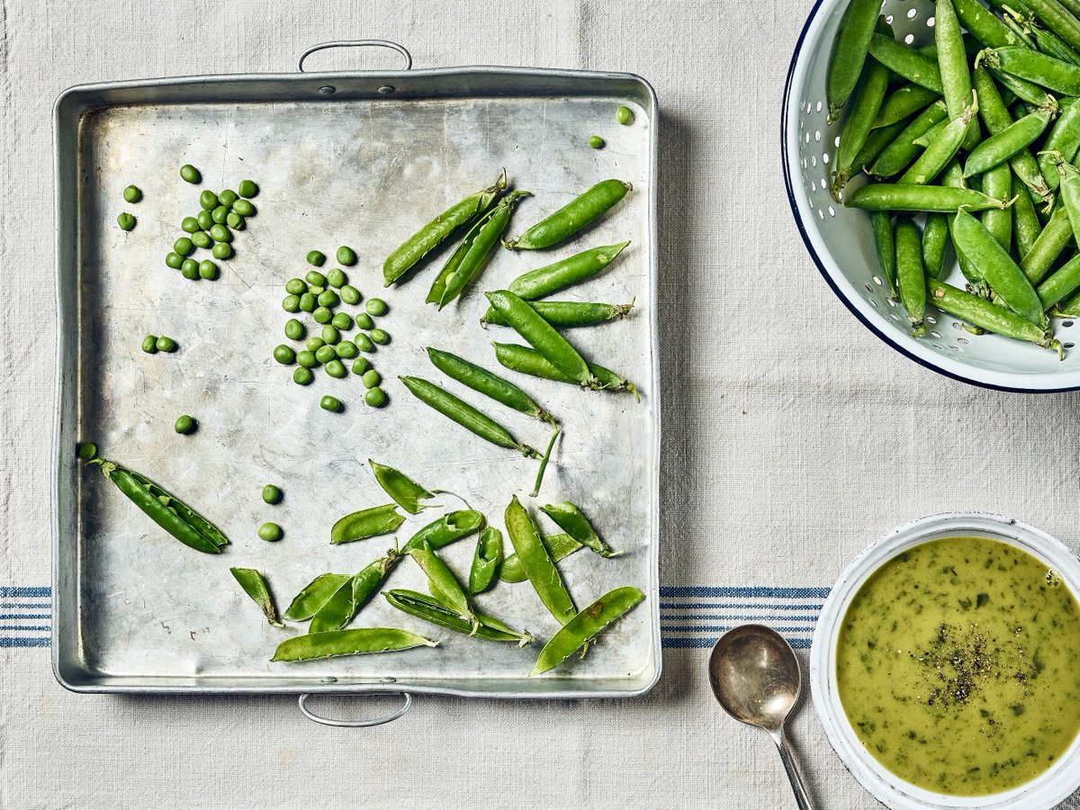 Shootjam tweet media