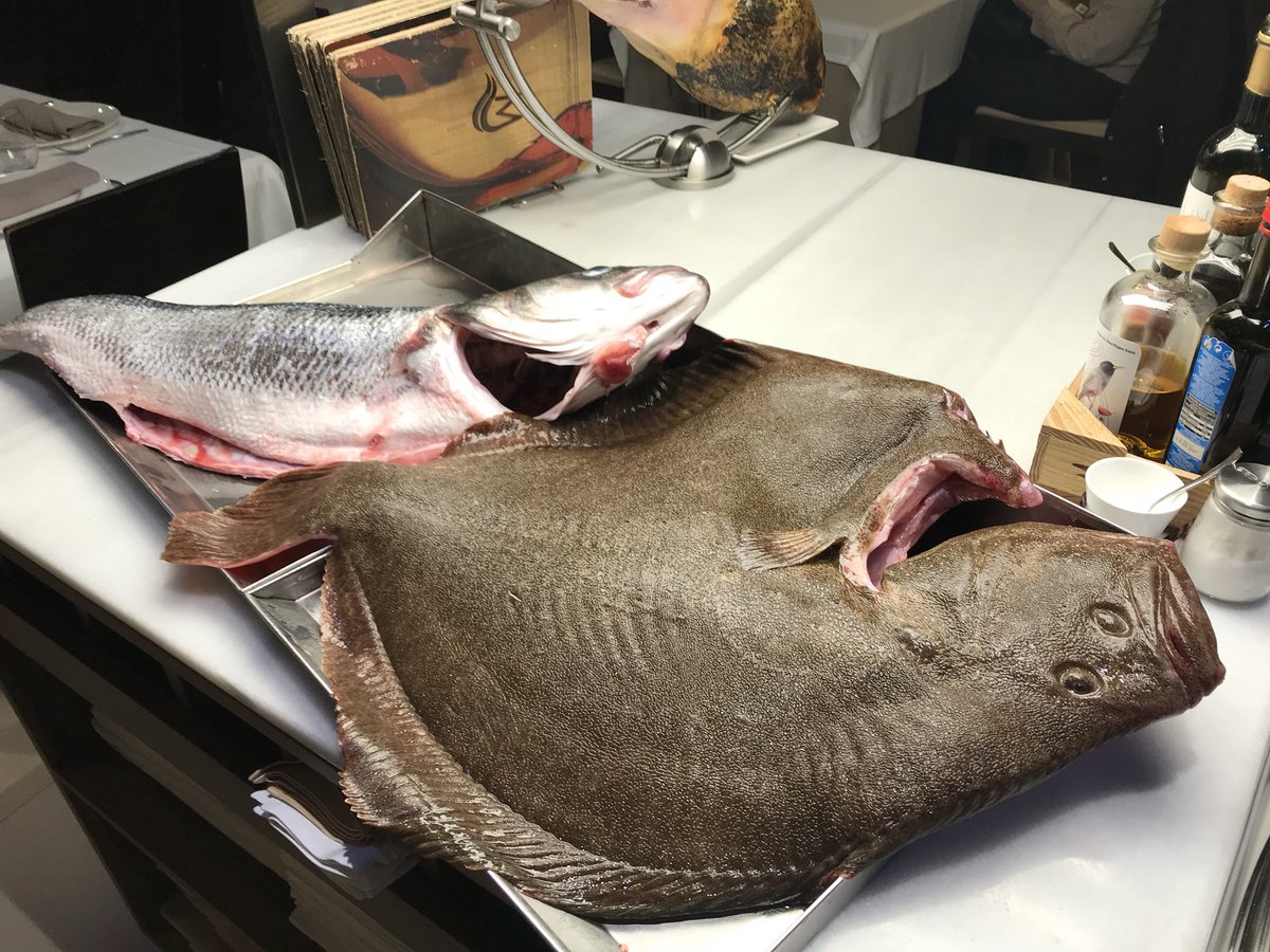 AMundina's tweet photo. Dos #topfish 🐟👌🏼#pezqueñinesNOgracias #productop #amundiña #coruña #felizviernes #galicia https://t.co/8NoAmgjPjN