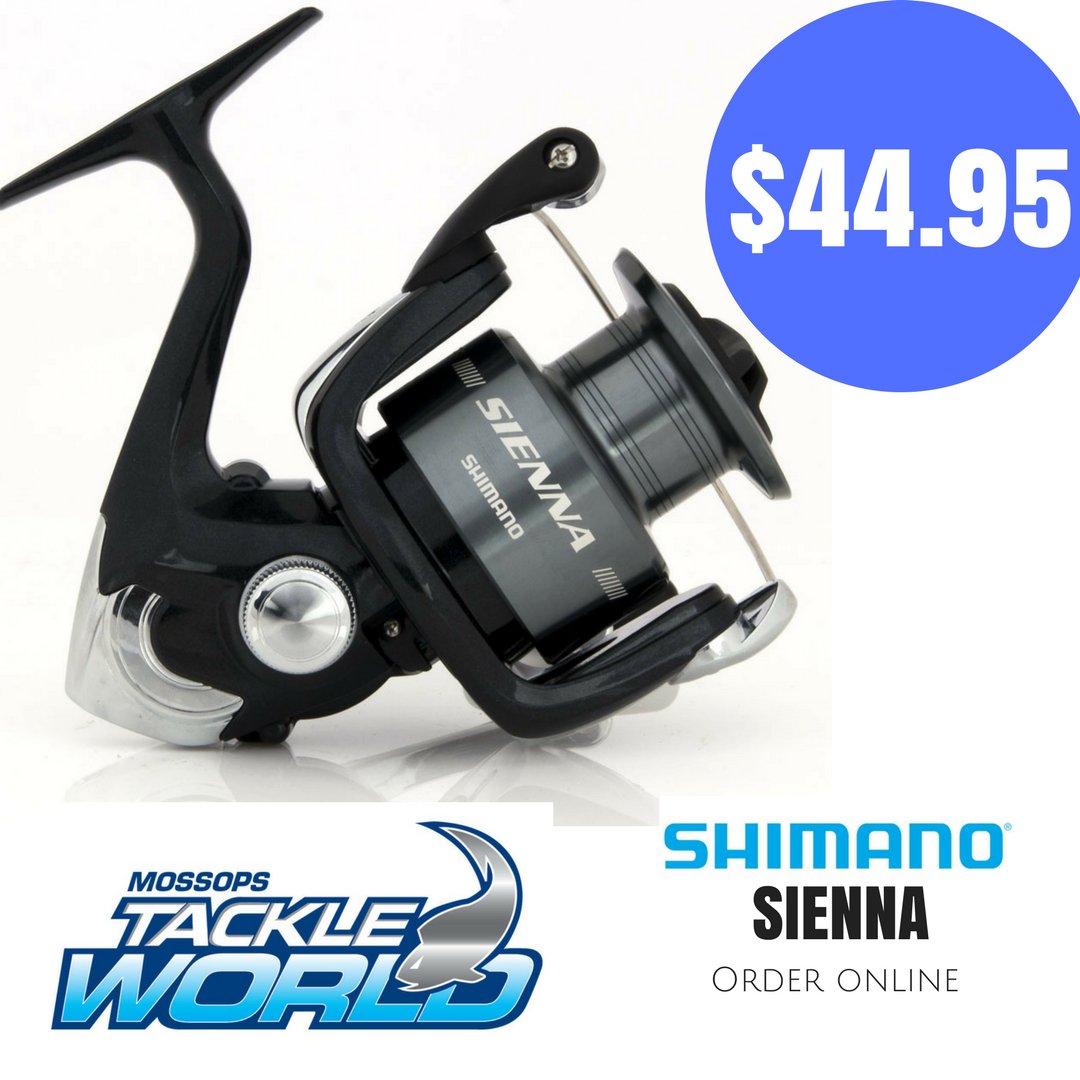 MossopsFishing's tweet photo. The feature-packed Sienna range of threadline reels from #Shimano represent excellent value for money, whilst offering quality and performance. https://t.co/7hUrIBDr7U
#Fishing #Brisbane #TackleWorld https://t.co/vcNNJAQrin