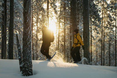 Metsahallitus's tweet photo. Mot en allt hållbarare framtid – #Forststyrelsen har startat ett omfattande program för #ansvarsfullhet https://t.co/Eyk6lJRWS4 https://t.co/qYXJWkYt9A