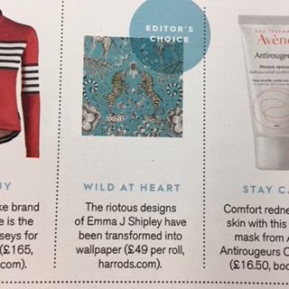 clarkeandclarke's tweet image. Thank you @StylistMagazine for featuring the editors choice of @emmajshipley x @clarkeandclarke wall covering collaboration 
#newcollection #SS18collection #stylistmagazine #emmajshipley #animaliacollection