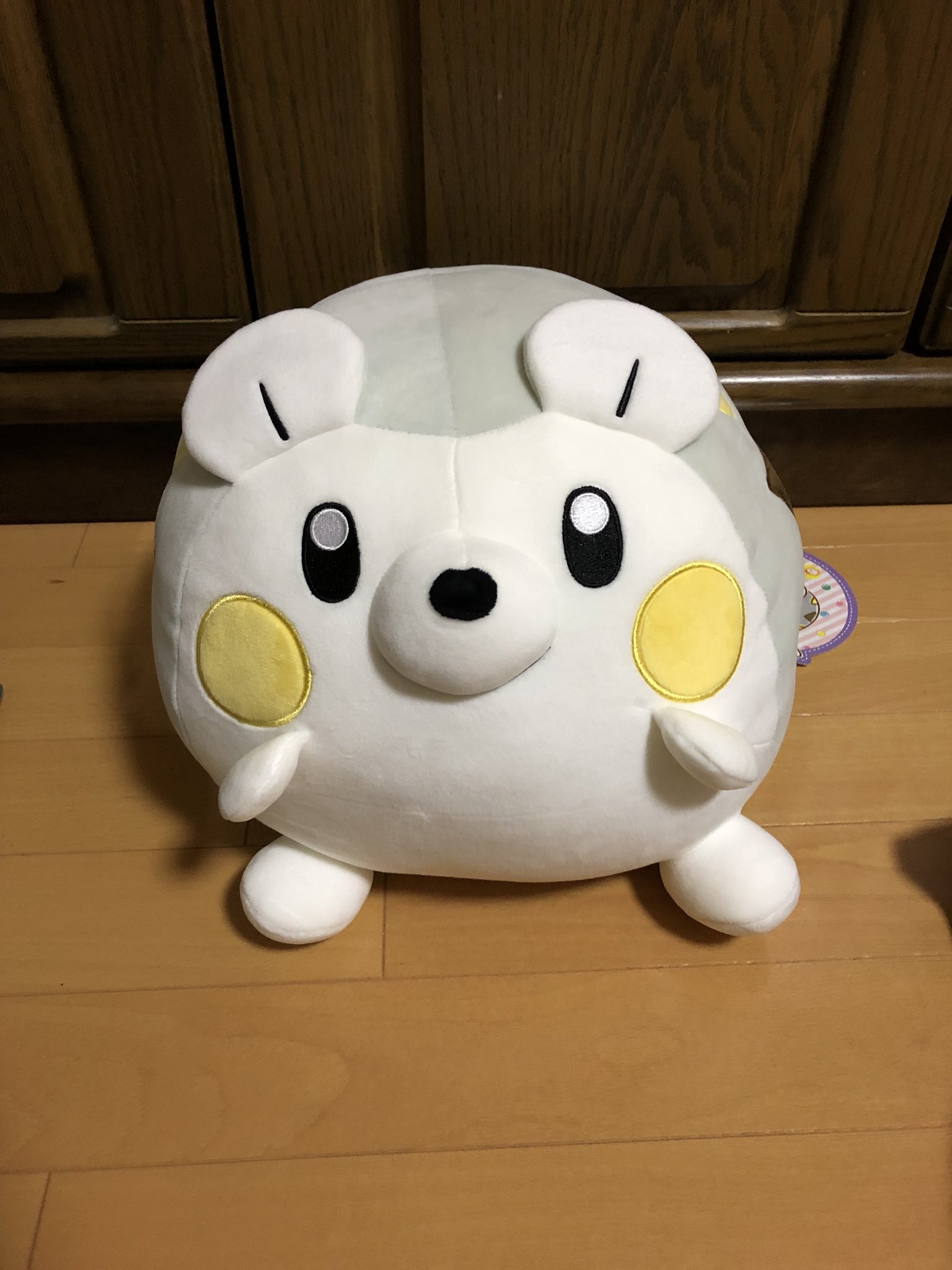 エゾパチリス ポケセンでトゲデマルのぬいぐるみ買ってきたー ドッチボールしようぜ
