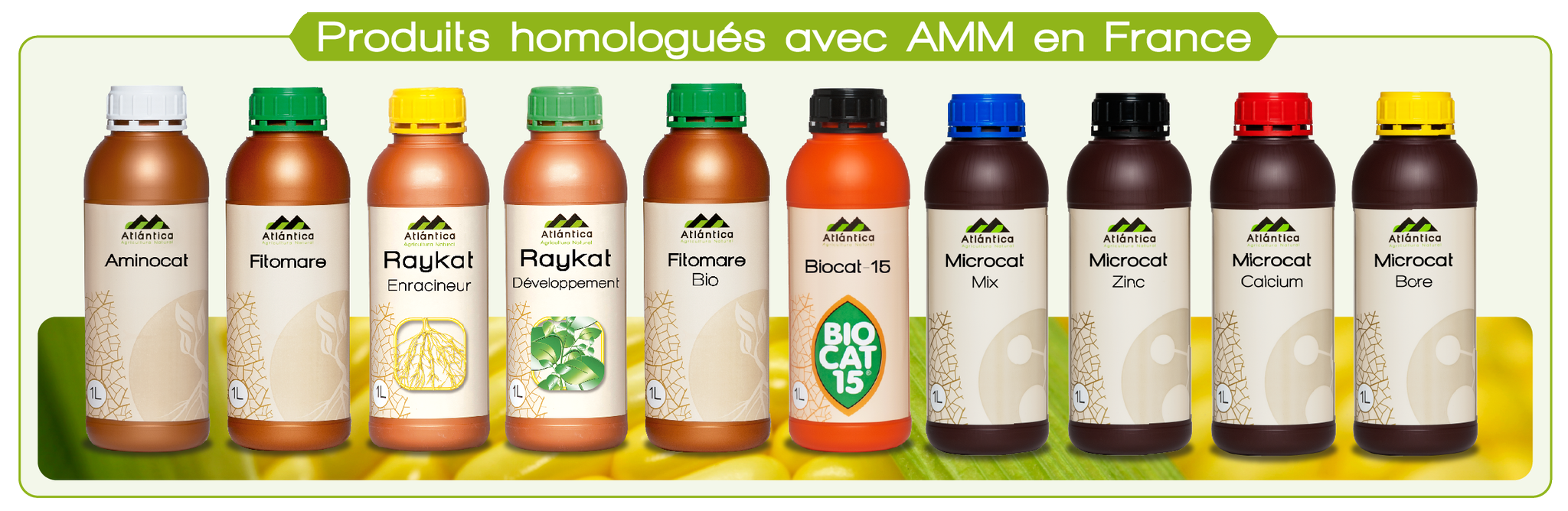 Atlantica Agricola On Twitter From January 16th To 18th We Will Be Presenting Our Amm Registered Biostimulants And Looking For Distributors Big Cooperatives Interested In Using Promoting Our Wide Atlantica Agricola On Twitter From January 16th To 18th We Will Be Presenting Our Amm Registered Biostimulants And Looking For Distributors Big Cooperatives Interested In Using Promoting Our Wide