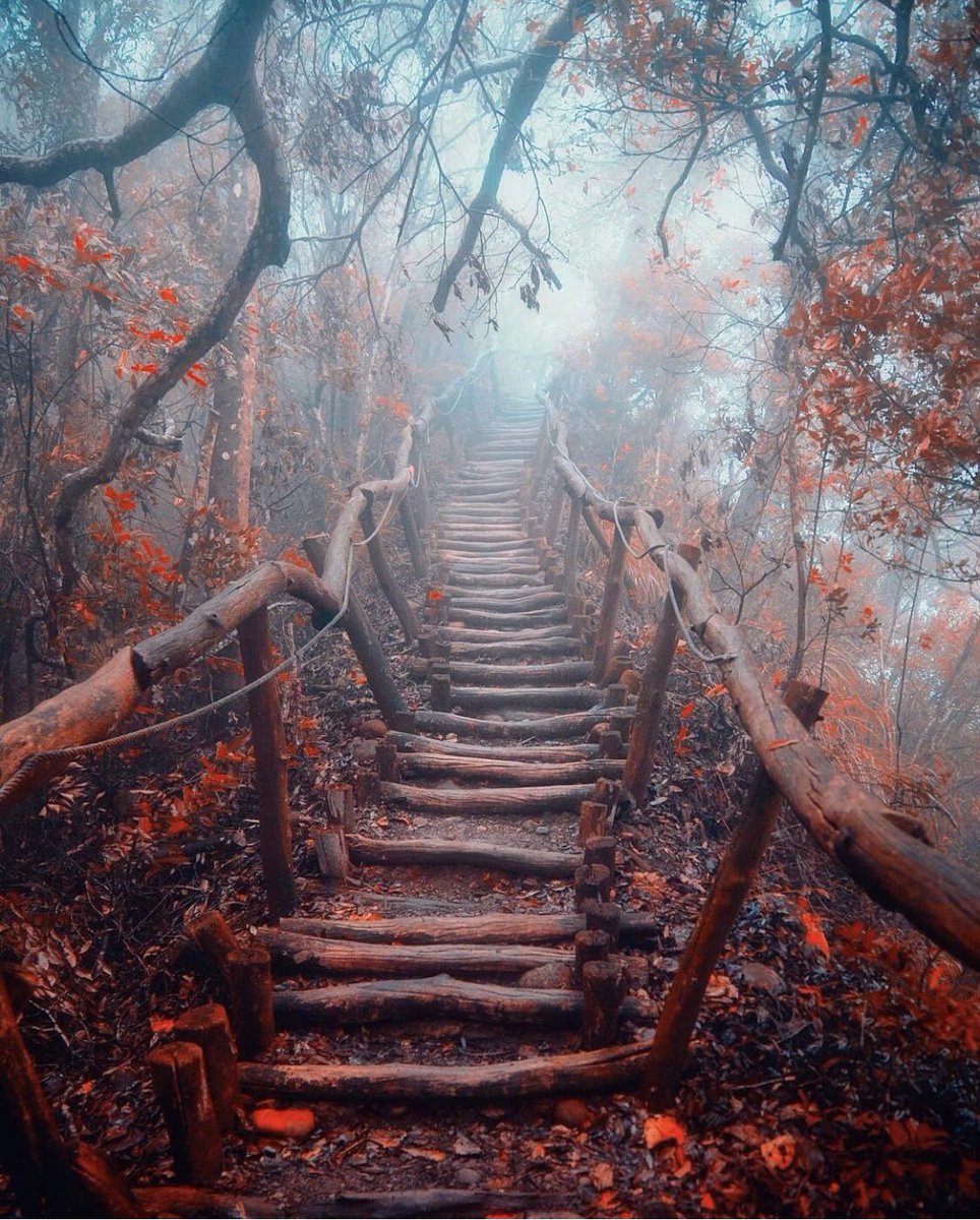 Taichung, Taiwan 🇹🇼