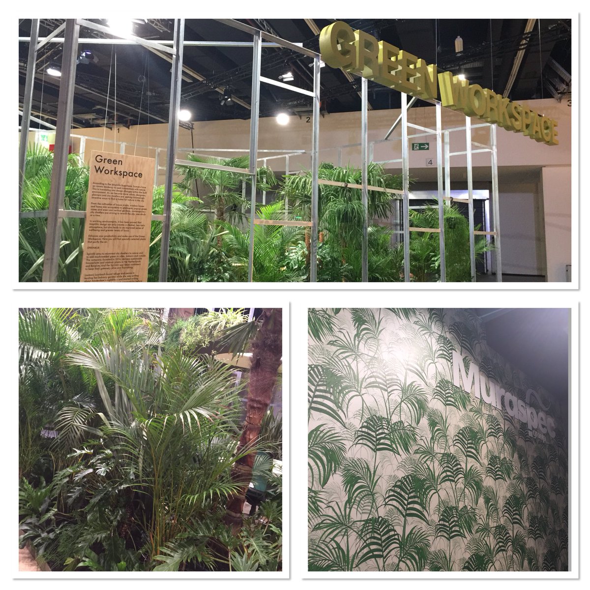 The future is urban💁🏼‍♀️come and see how #greenworkspace 🌿🌵🌱can be incorporated with <a href="/Muraspec/">Muraspec Wallcoverings</a> <a href="/FardisInteriors/">Fardis</a> Shangri La collection 💚🌿💚at <a href="/heimtextil/">Heimtextil</a> Hall 3.1 stand D 18
