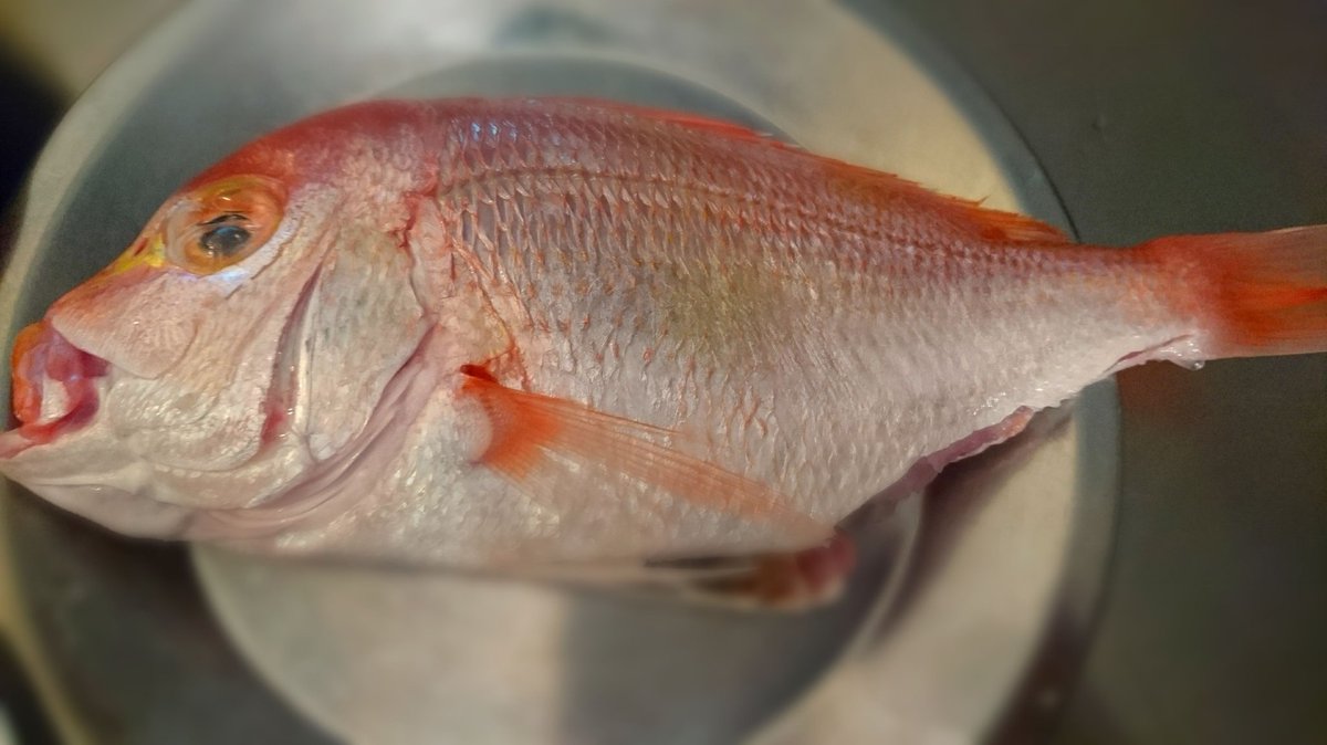 アリタコージ レンコ鯛と魚介のアクアパッツァ 内臓と鱗 エラをしっかり処理した鯛に焼き目をつけ牡蠣 ハマグリ ホタルイカ等を使いケイパー 黒オリーブ ダイスカットのフレッシュトマトとポテトを入れノイリーで風味づけしてから水で煮込む イタリア