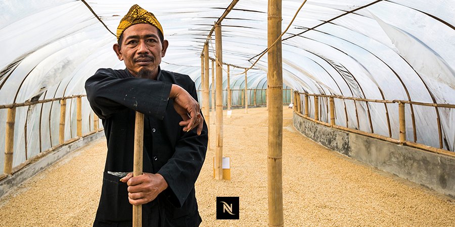 NespressoNL's tweet image. Bezoek vanaf dit weekend de foto-expositie van @SachadeBoer over de herkomst van koffie in #Java: bit.ly/deboerexpositie #deboerendeboer