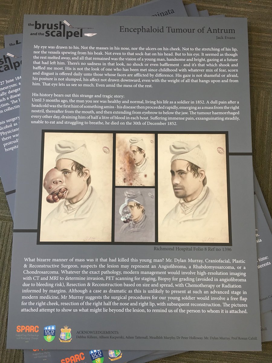 UCD Health Sciences tweet media