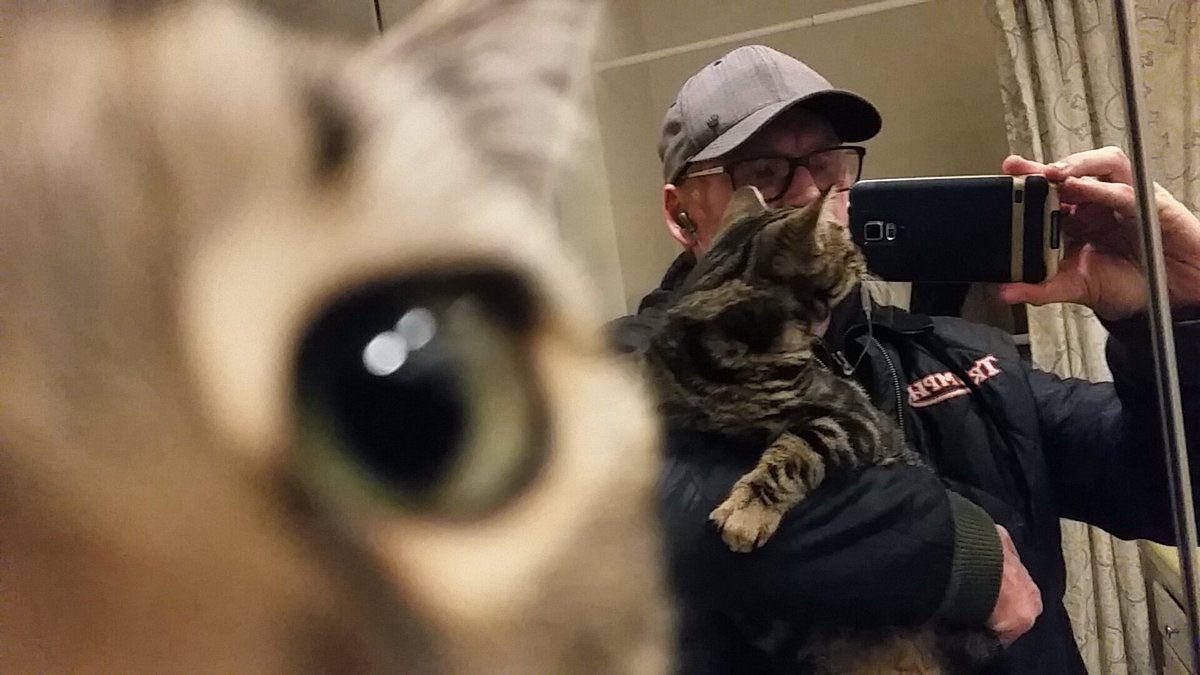 TotalZackWard's tweet image. Greatest cat photo ever!