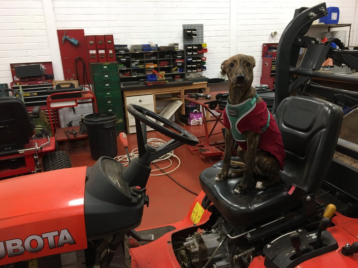 ohmowerservices's tweet photo. We’re ready to service some Kubota machines, we have our little helper and our stock of genuine Kubota spares. @KubotaUK https://t.co/tGCN01MQxg