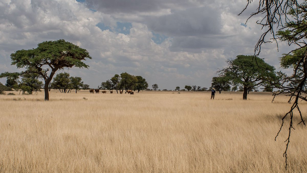 Location Scouting in the bush veld. #everydayishardcore #farmfilms #location #jackall