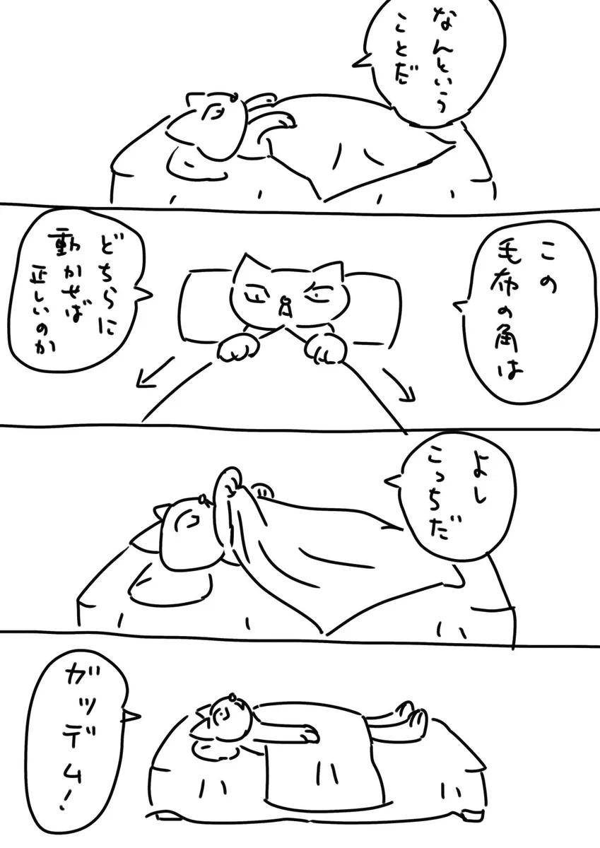 寝る時あるあるｗ毛布の角を90度動かすも縦と横が反対になって足が出るｗｗｗ