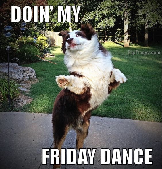 YummyHound's tweet image. Who's happy it's #Friyay ❣️❣️

We sure are here at #UrbanPawsUk headquarters ❤️

Check us out - urbanpawsuk.com

#PetModelling #AnimalHire #AnimalAgency #PetTalent
