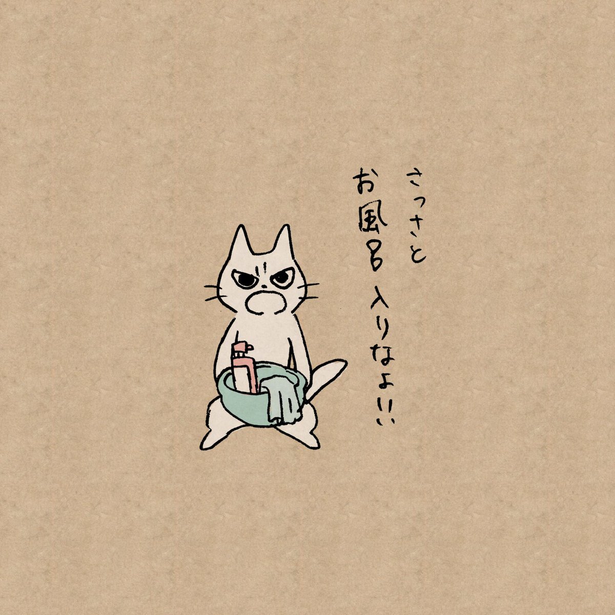 しかるねこ お風呂に入らなきゃと思いつつもグズグズしてしまう人を叱ってくれる猫