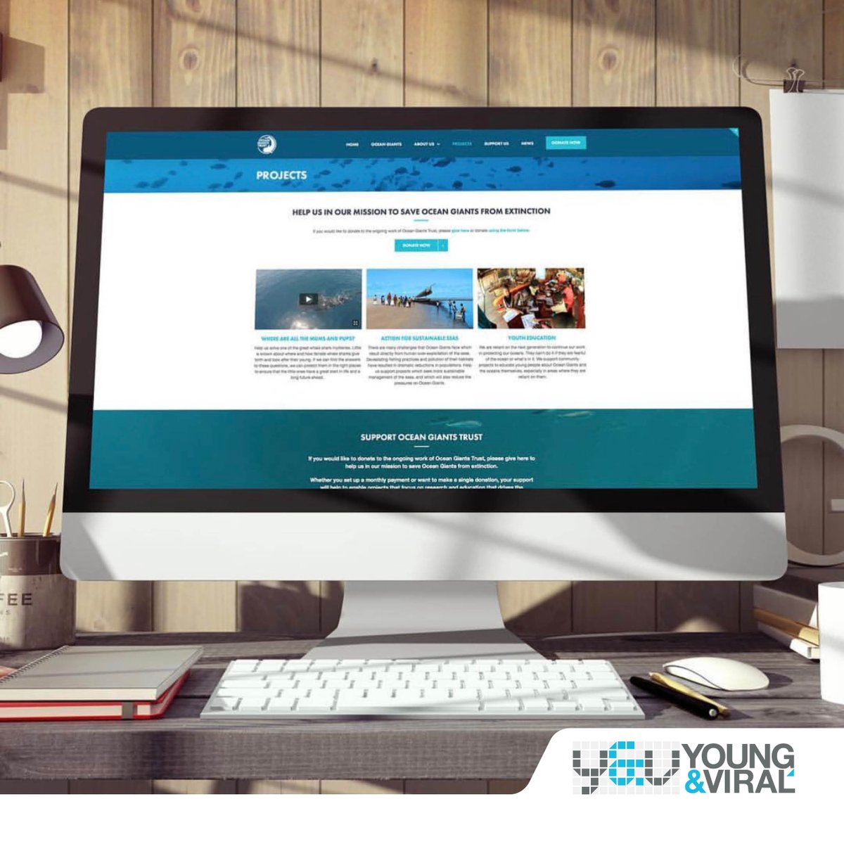 If you don't already know who they are then it's an absolute must before ordering your lunch to find out who @oceanGiants are! The charity goes to enormous lengths to help our oceans giants - we just happened to create their branding and website