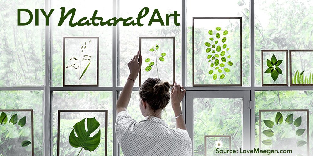 This DIY home decor idea will have your friends and neighbors green with envy! bit.ly/2gSOTue