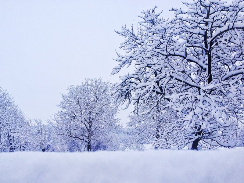 It's All About Winter Activities for the Next Little While dlvr.it/Q9ym2Y https://t.co/Lwfjy7Y2tl