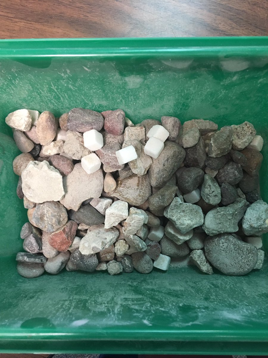 KristinLehrmann's tweet image. Shaking rocks and pebbles to erode sugar cubes @Cypress_Grove #handsonscience #erosion #PALprogram