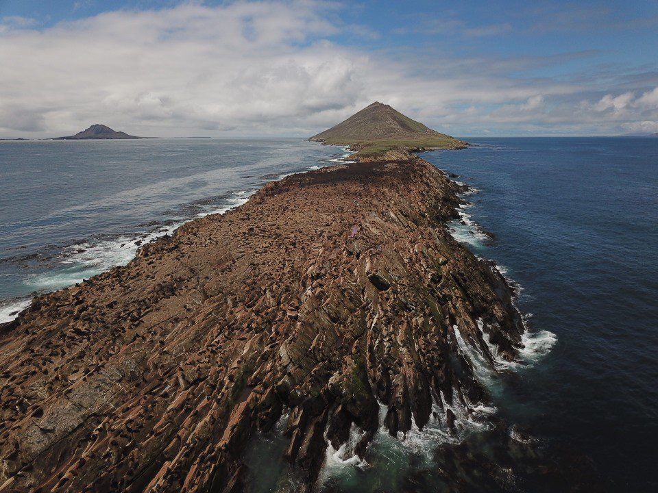 Alastair Baylis tweet media